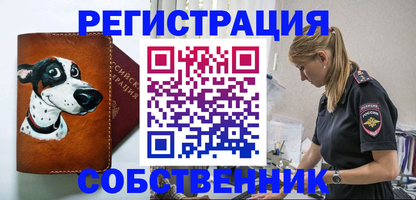 временная регистрация для школы в Новочеркасске